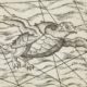 Tortue volante - Guillaume Sciaux - Cartographe professionnel