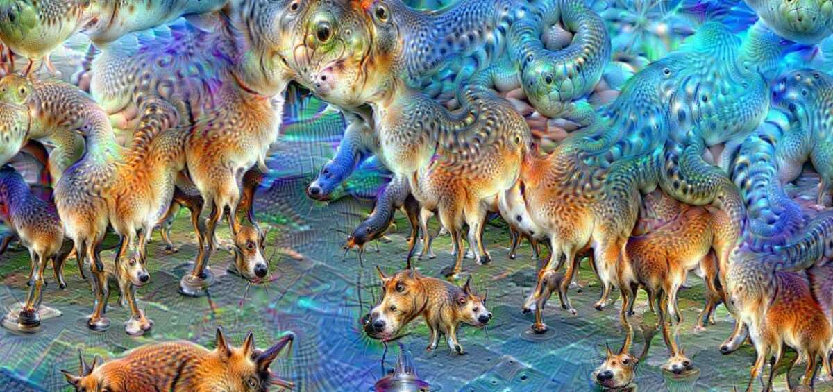 Image transformée progressivement par 50 itérations de l'algorithme DeepDream