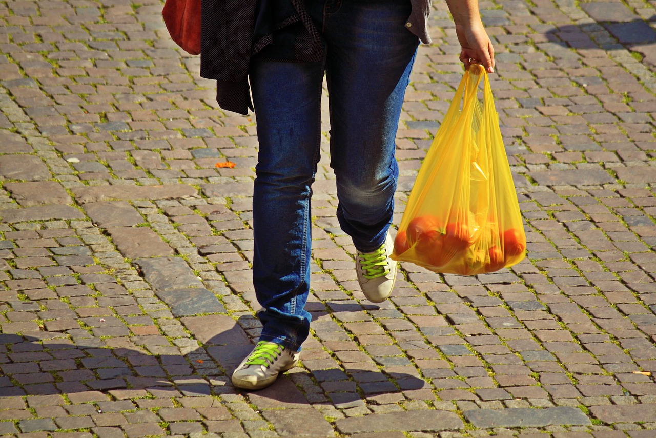 Résultat de recherche d'images pour "Sac en plastique VS poche ou pochon (Bretagne/Sud-Ouest)"