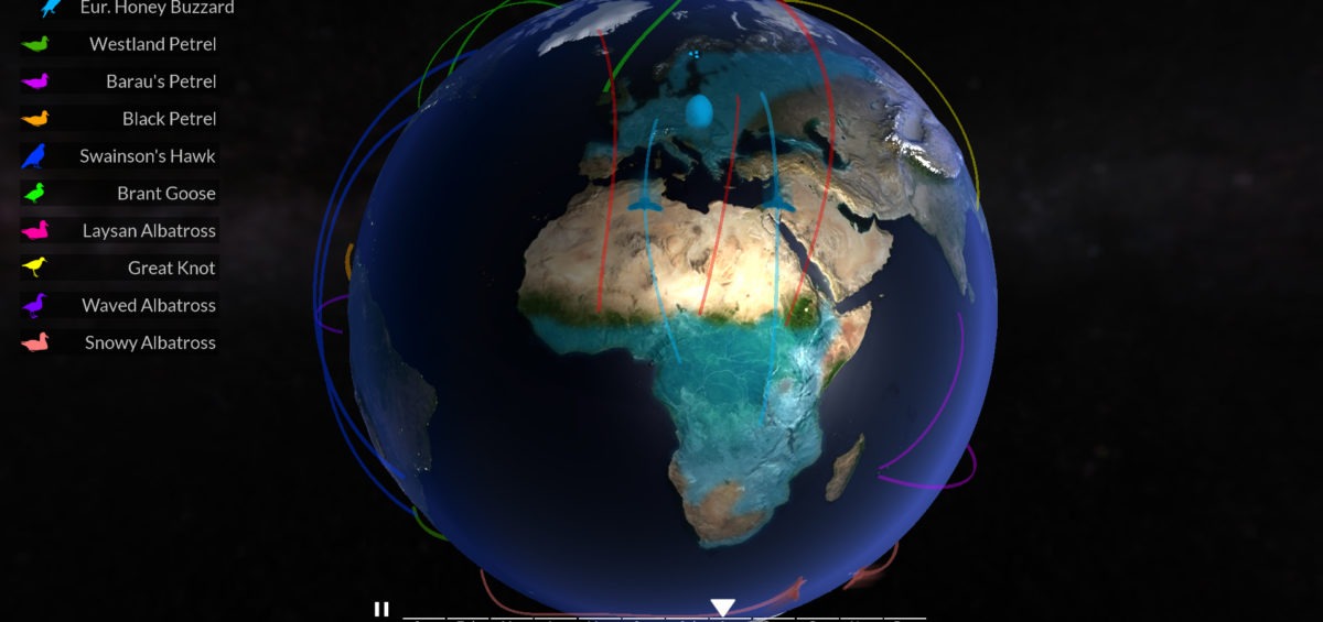 carte-des-migrations-des-oiseaux - Guillaume Sciaux - Cartographe professionnel