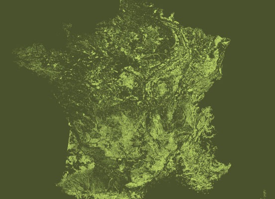 La France minimaliste - Forêts - Guillaume Sciaux - Cartographe professionnel