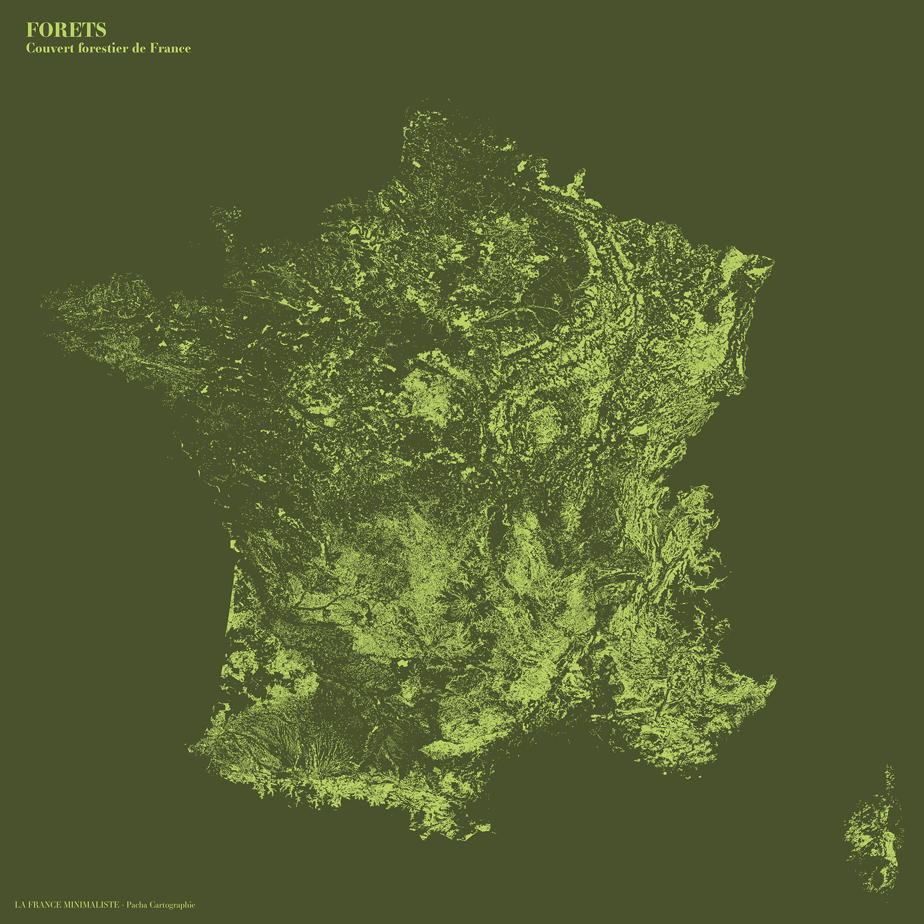 La France minimaliste - Forêts - Guillaume Sciaux - Cartographe professionnel