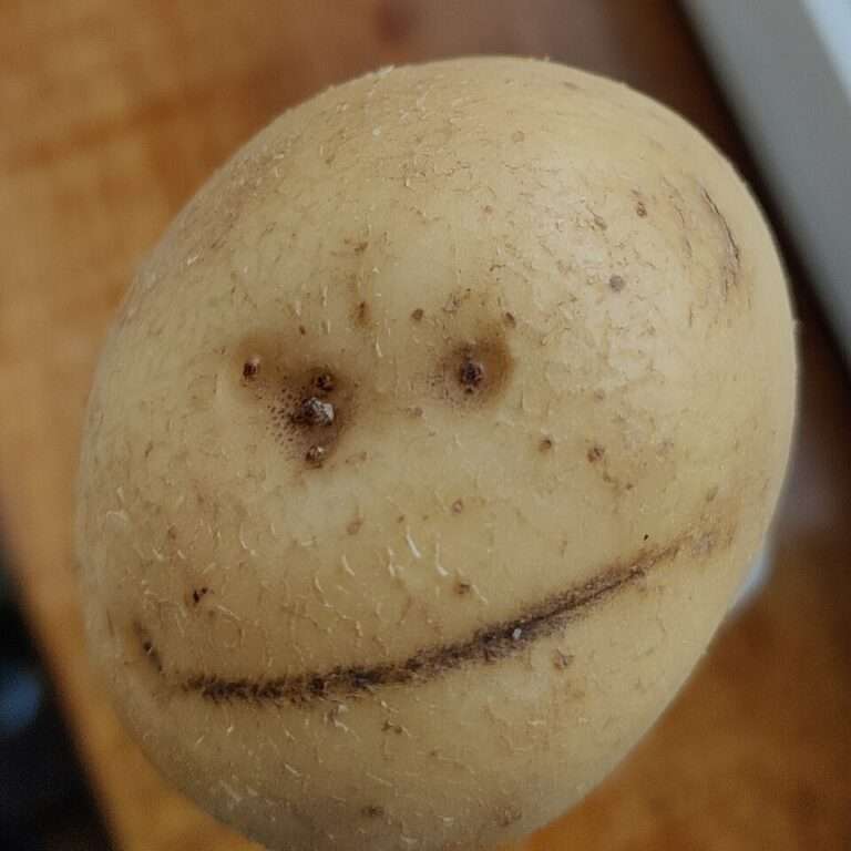 Pomme de terre dont les marques naturelles forment un visage souriant