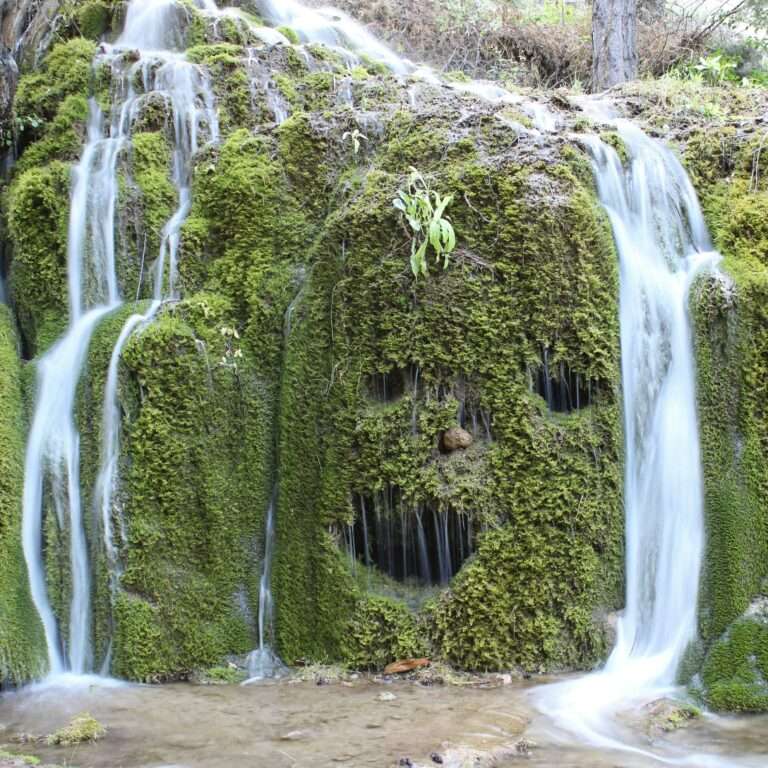 Cascade et mousse formant l'illusion d'un visage