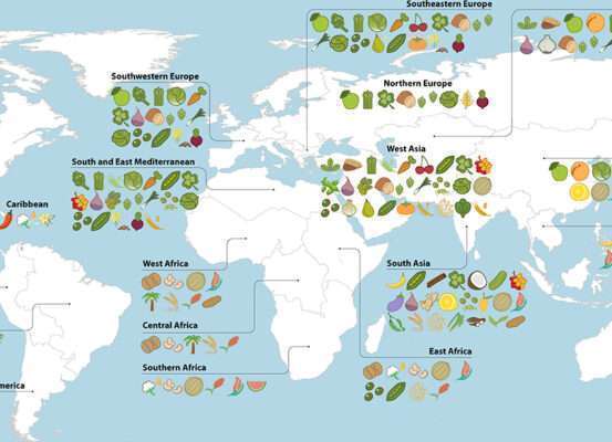 Carte des fruits et légumes