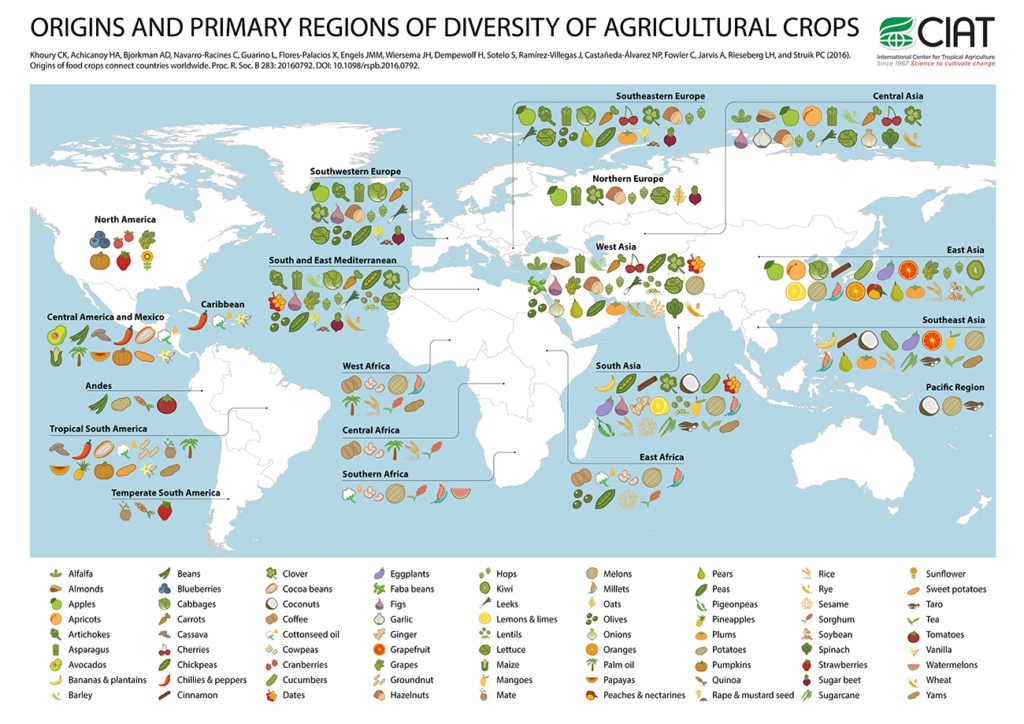 Carte des fruits et légumes