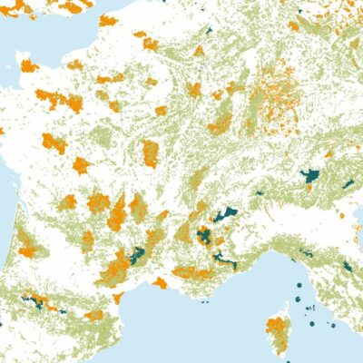 Les-Others-Carte-forets-Europe_RV Europe Frontières simplifiées Travail sur les données forestières à l'échelle européenne