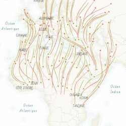 Carte Papillons V3 Les migrations de papillons - GEO N°564