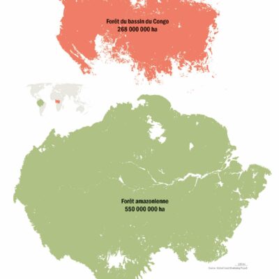 Forets Comparaison des superfifices des forets d'Amazonie et du Bassin du Congo - Atlas Afrique AFD