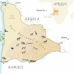 Le parc Iona en Angola - GEO N°573 Carte du parc Iona en Angola - GEO N°573